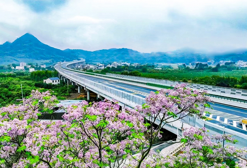 春路雨添花 花動一山春色——平武路潘屋特大橋.jpg